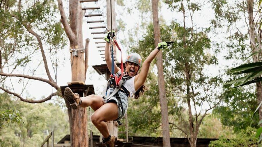 Tamborine Mountain TreeTop Challenge Adventure Park