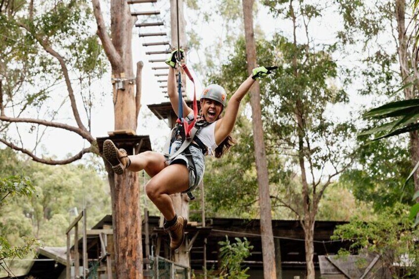 Tamborine Mountain TreeTop Challenge Adventure Park