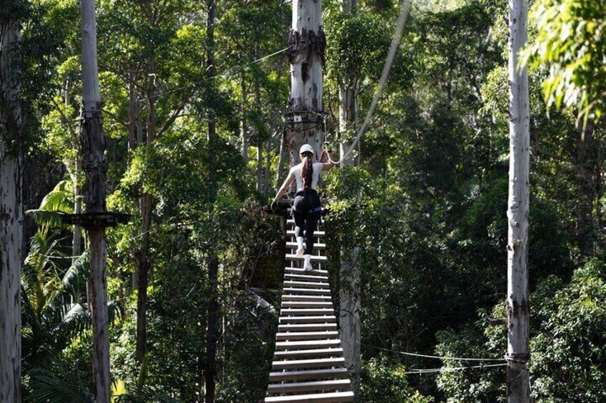 Tamborine Mountain TreeTop Challenge Adventure Park