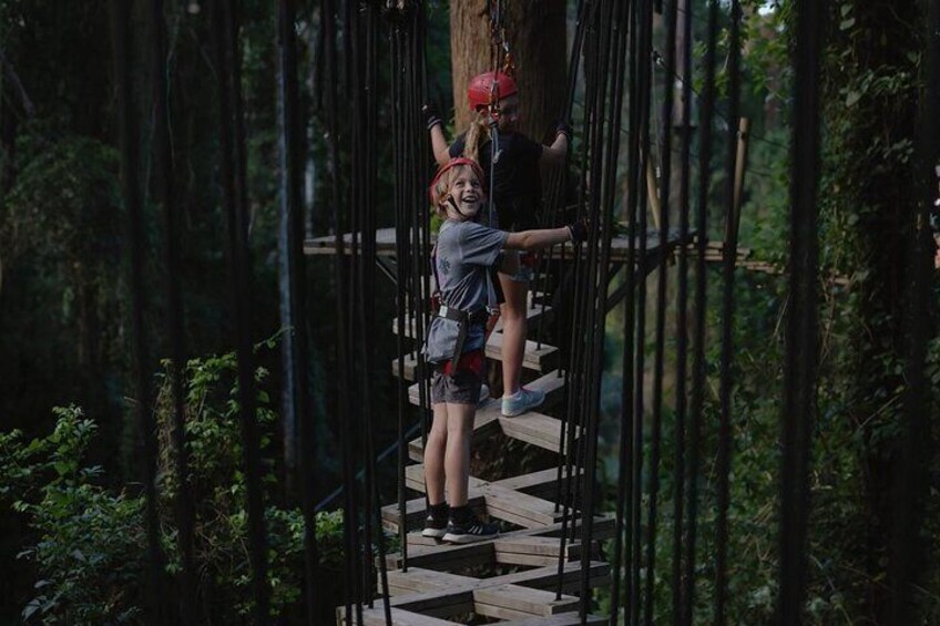 TreeTop Challenge Sunshine Coast