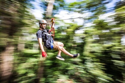 Sunshine Coast Adventure Park TreeTop Challenge