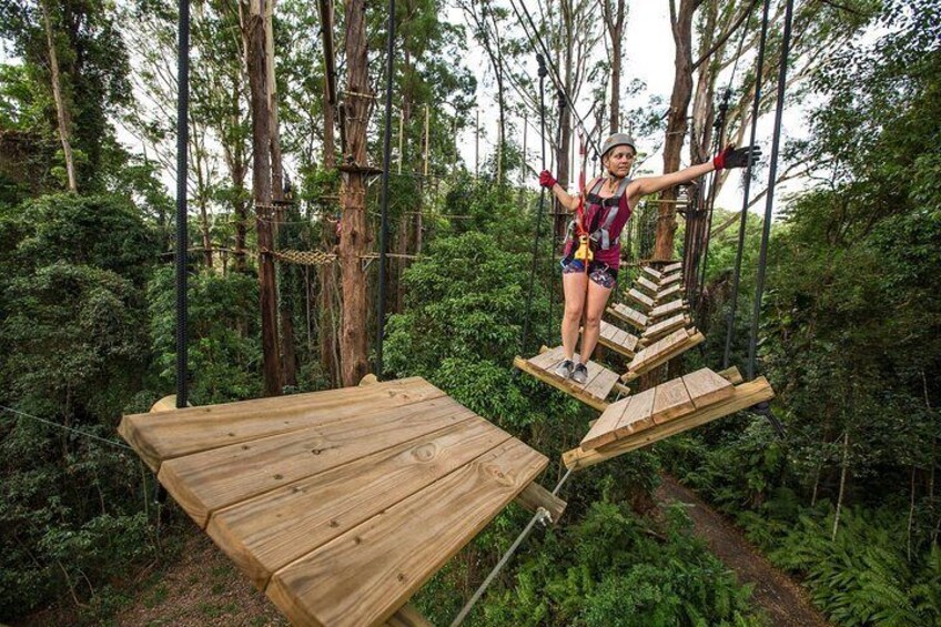 amazing treetop challenges