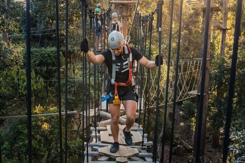 TreeTop Challenge Sunshine Coast