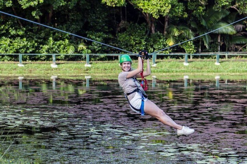 TreeTop Challenge Sunshine Coast