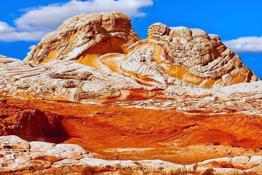 White Pocket Off-Road and Guided Hike Activity