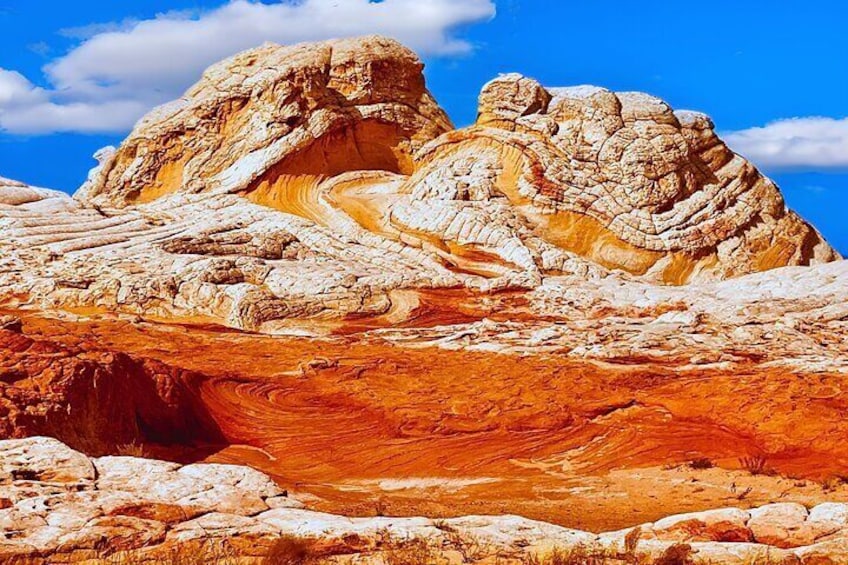 White Pocket Off-Road and Guided Hike Activity