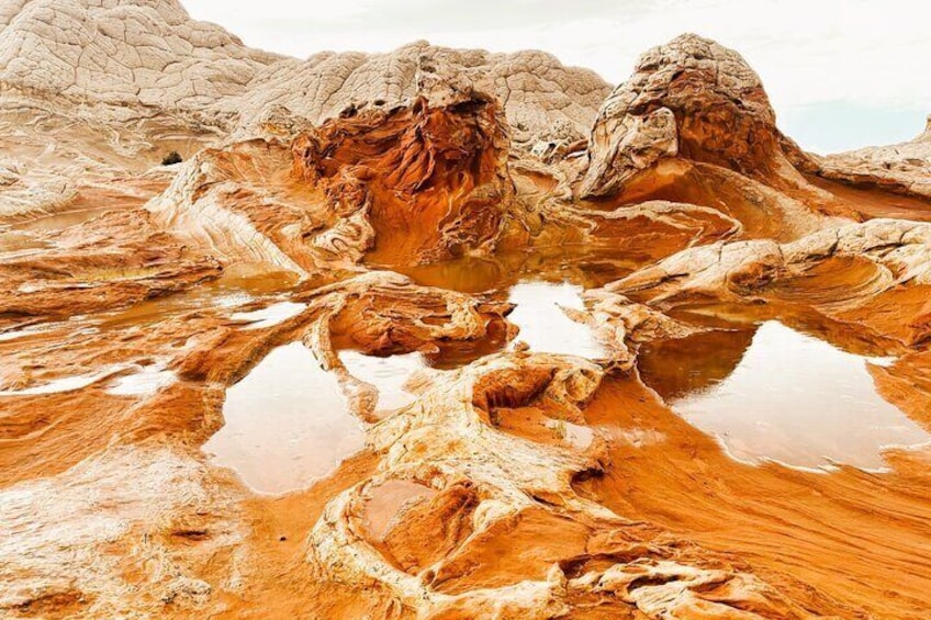 White Pocket Morning Off-Road Guided Hike Activity (Small Group) 