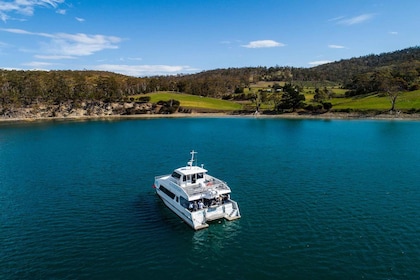 Hobart: Ultimate Seafood Cruise on a Spacious Catamaran