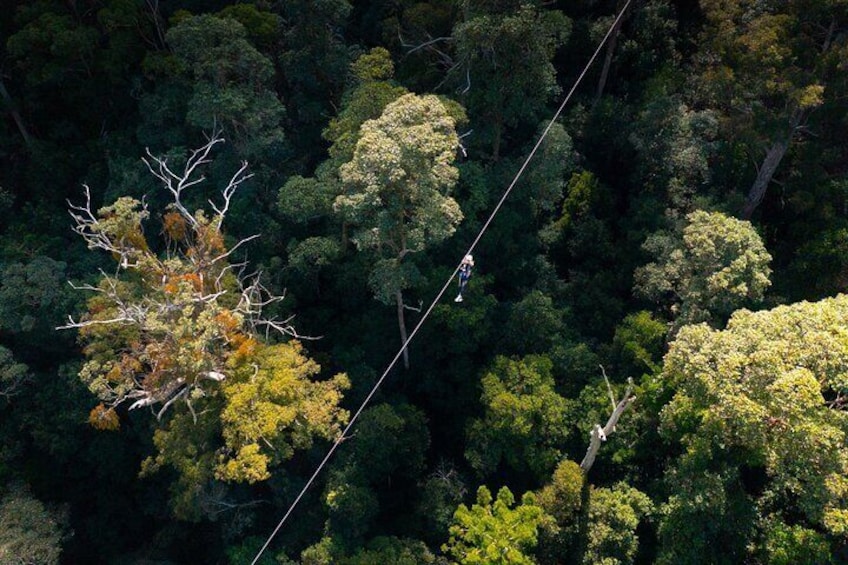 Gold Coast Canyon Flyer Zipline Tour