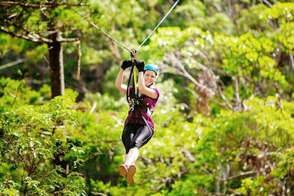 Gold Coast Canyon Flyer Zipline Tour