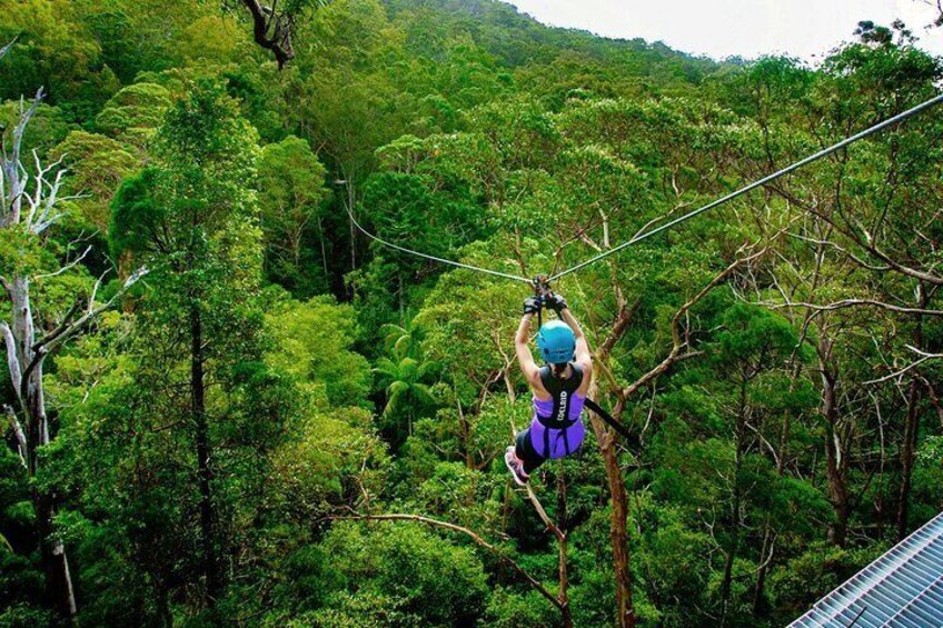 Amazing Zipline Tour