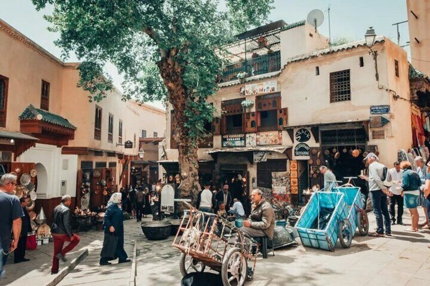 Fez Medina Half-Day Walking Tour