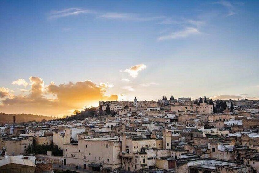 Fez Medina Half-Day Walking Tour