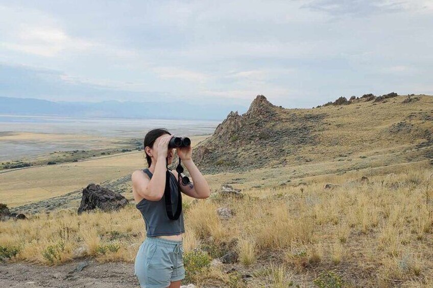 Great Salt Lake Safari and Discover a Antelope Island Experience