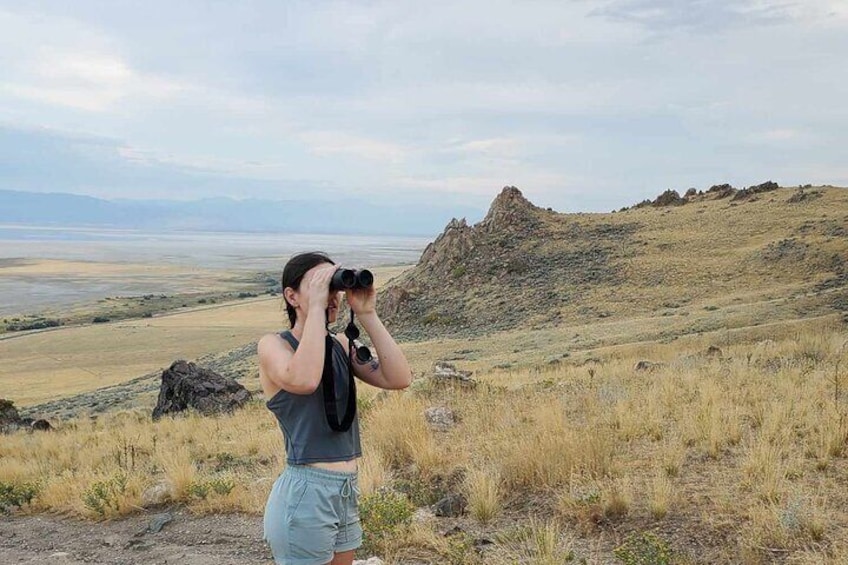 Great Salt Lake Safari and Discover a Antelope Island Experience