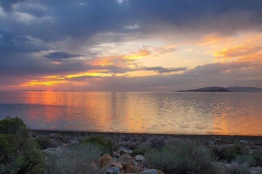 Great Salt Lake Safari and Discover a Antelope Island Experience