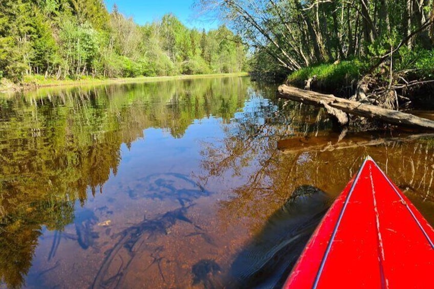 Kayak and Canoe Tour in Lake Bogstad