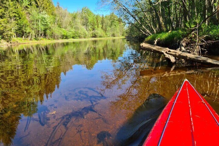 Kayak and Canoe Tour in Lake Bogstad