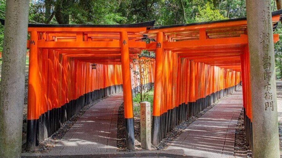 Kyoto Top 4 Must-see Attractions One Day Sightseeing Trip
