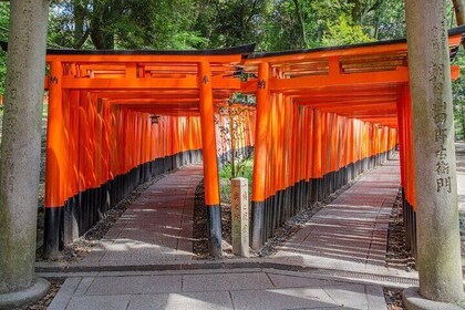Kyoto Top 4 Must-see Attractions One Day Sightseeing Trip