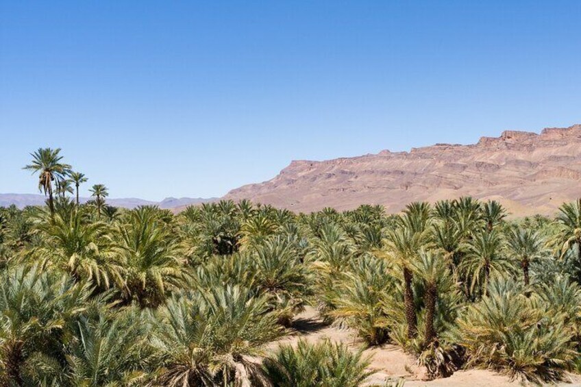 3 Day Tour From Ouarzazate to Merzouga