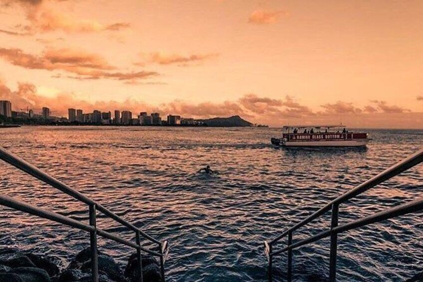 glass bottom boat cruise miami