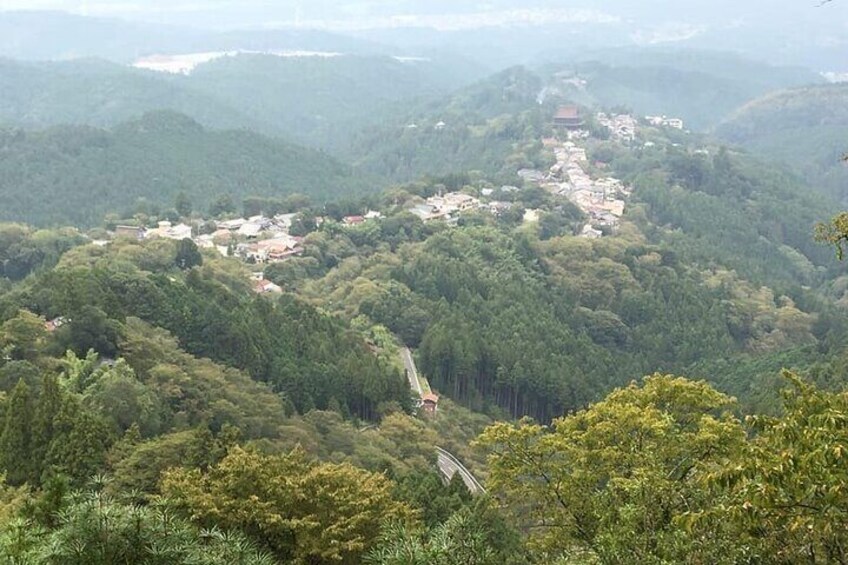 Private Guided Day Trip to Yoshino, Japanese Mountain