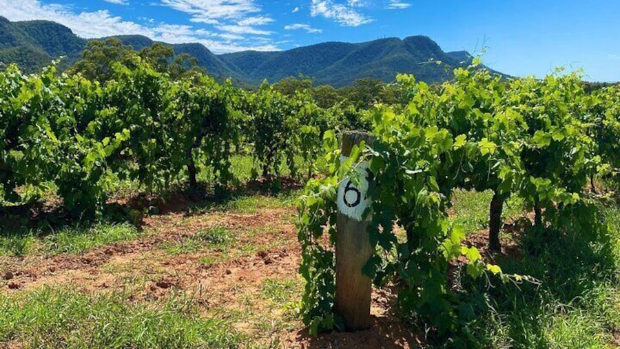 Hunter Valley, Broken Back Range