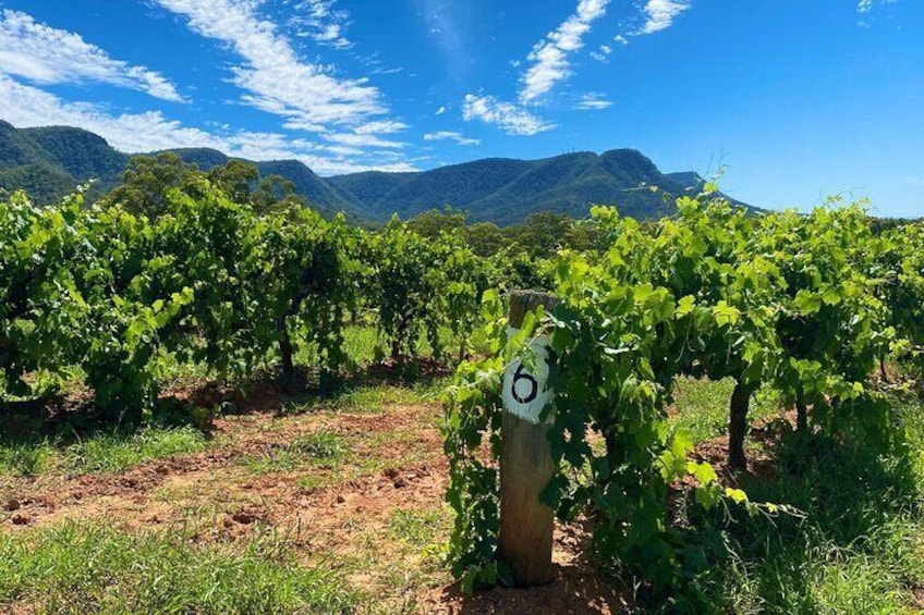 Hunter Valley, Broken Back Range 