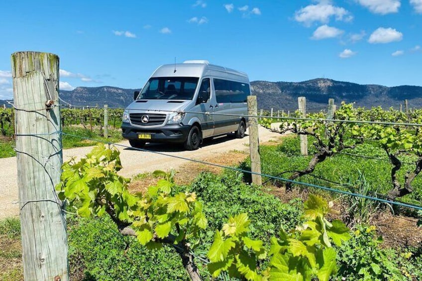 Wachtl Australia, Mercedes Sprinter