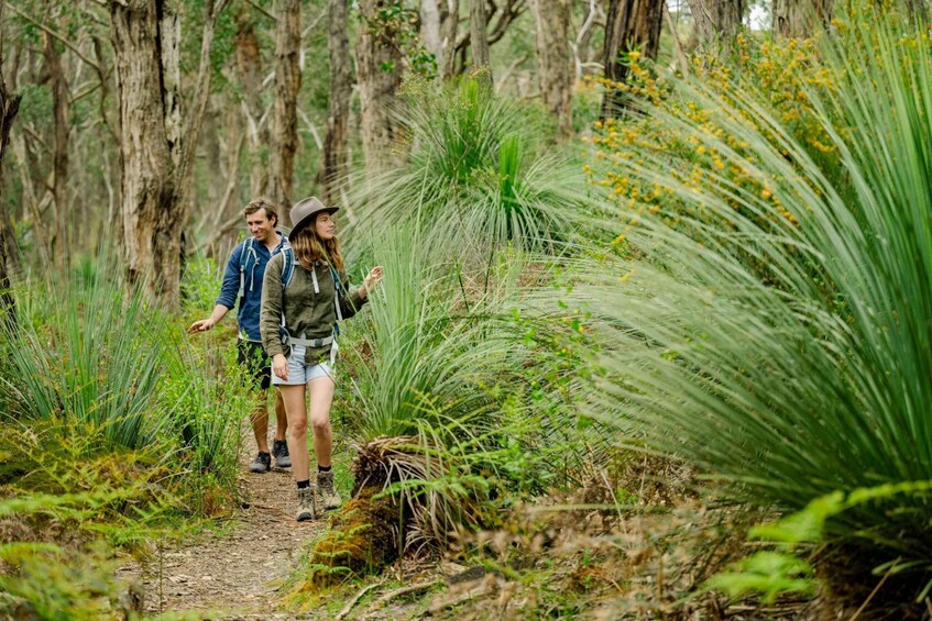 Picture 7 for Activity Adelaide: Fleurieu Gourmet 4-Day Walking Tour