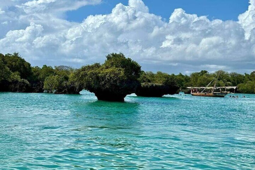 Safar Blue Full day Tour