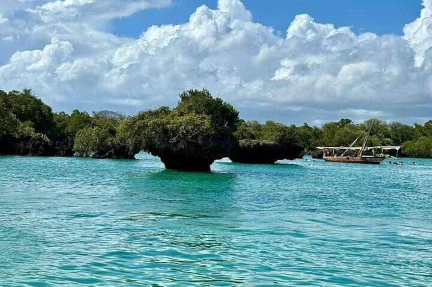 Safar Blue Full day Tour