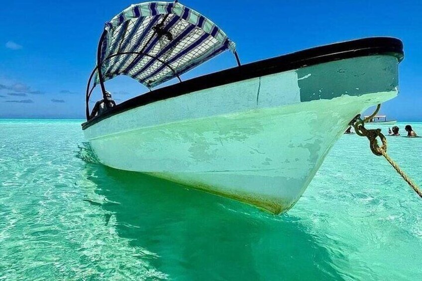 Safar Blue Full day Tour