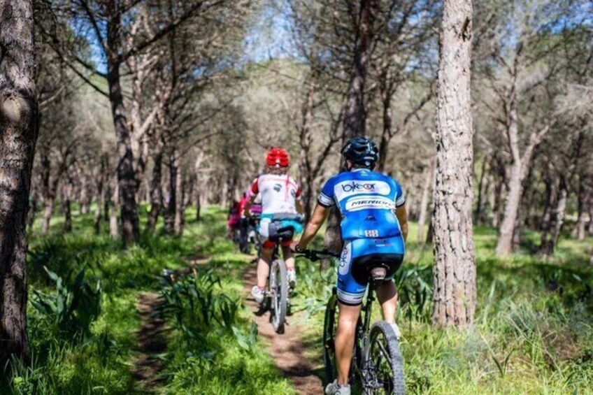 Oristano bike tour along Torregrande coast