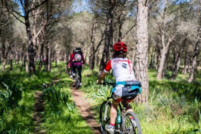 Oristano bike tour along Torregrande coast