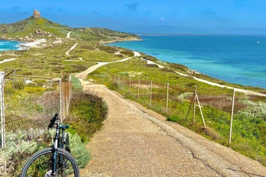 From Oristano: bike tour in the Sinis Peninsula