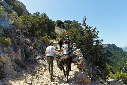 Donkey walk in Suttaterra forest from Dorgali