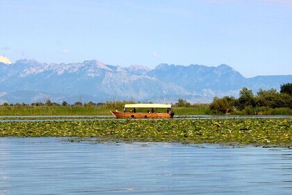 Virpazar Private Sightseeing Lake Skadar Boat Tour with Wine