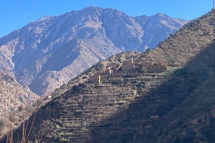 Ourika Valley with Camel Tour and Berber Lunch