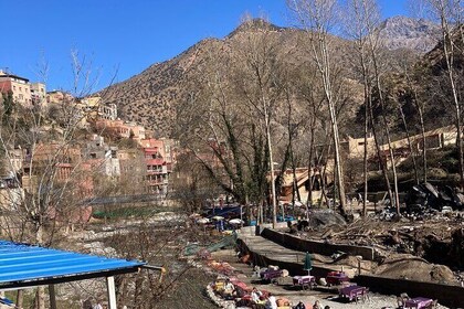 Ourika Valley with Camel Tour and Berber Lunch