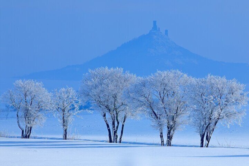 The Gothic Hazmburk Castle is another dominant landmark, and we can visit the vineyards located directly on its southern slope to capture stunning photographs.