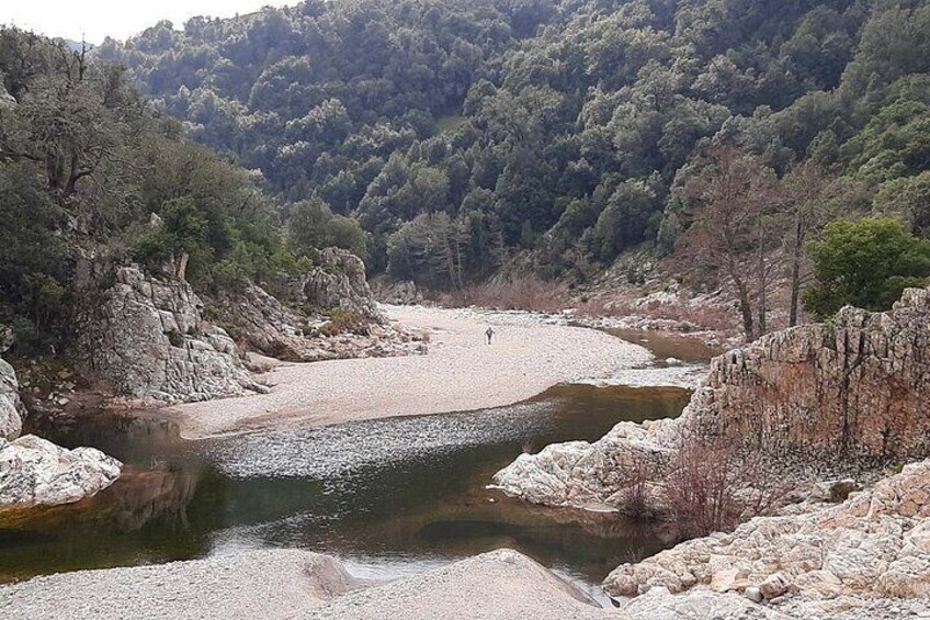 Mt Gennargentu Piricanis Gorges and Waterfall Hike from Arzana