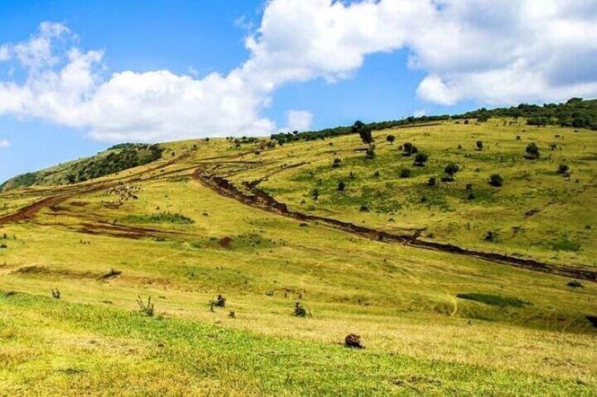 Ngong Hills Private Guided Hike 