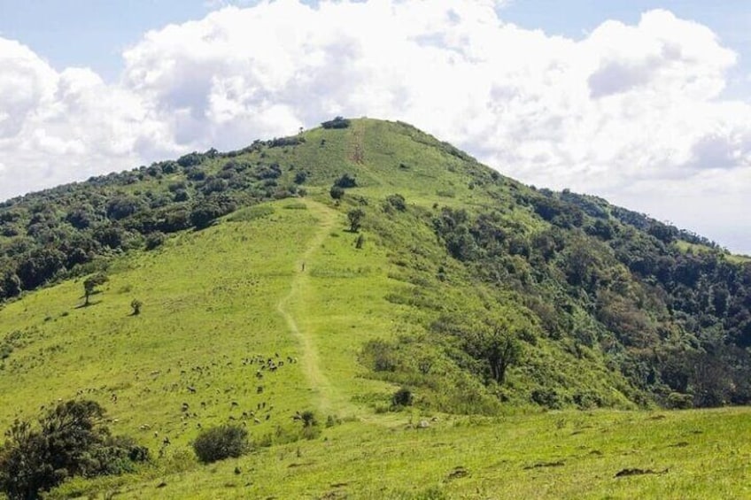 Ngong Hills Private Guided Hike 