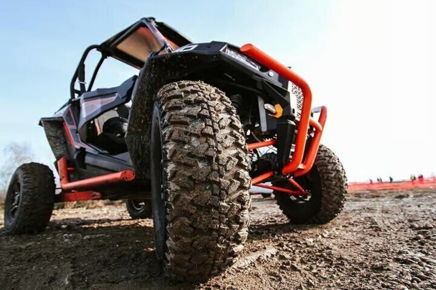 Luxury Tour Buggy Route Wines in Penedès from Barcelona