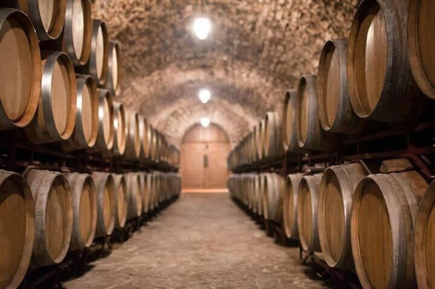 Luxury Tour Buggy Route Wines in Penedès from Barcelona