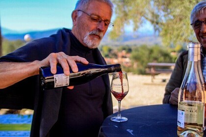 Walk in the heart of the vineyards of Maury on the Cathar trails