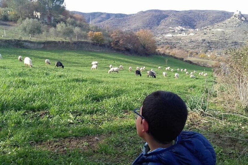 Burgos Visit to a Farm with Tasting