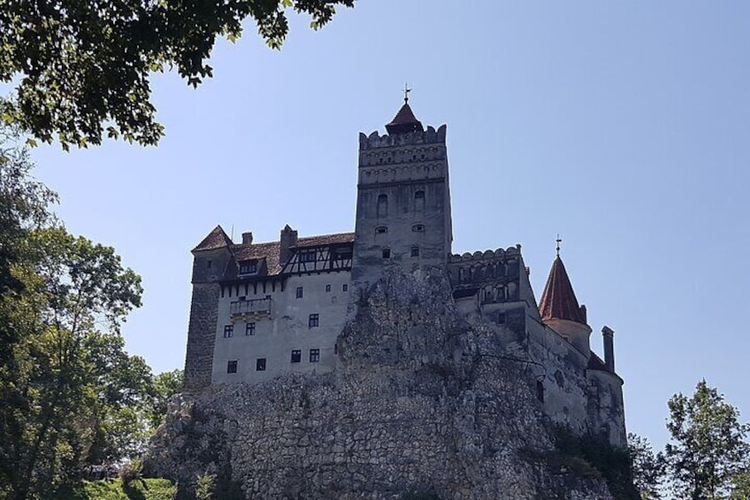 Executive Dracula Day Trip - See Bran & Peles Castle, Brasov from Bucharest